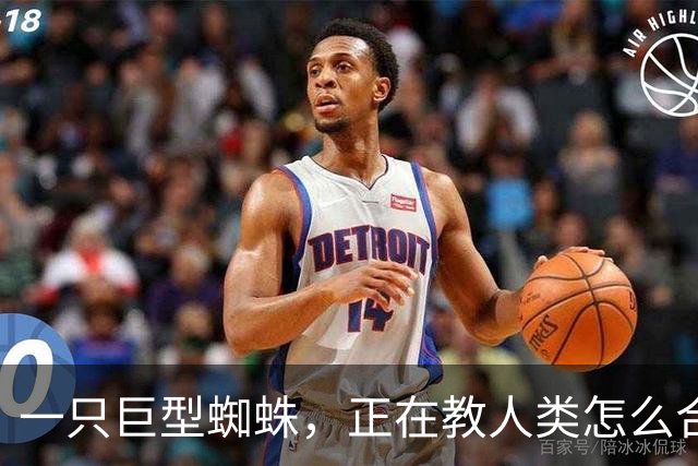 一只巨型蜘蛛，正在教人类怎么合作