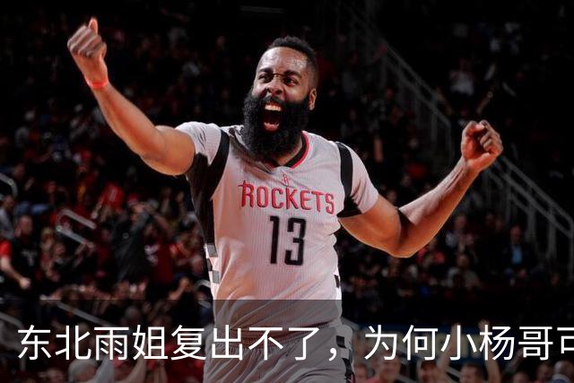 东北雨姐复出不了，为何小杨哥可以？因为他背后有卢文庆