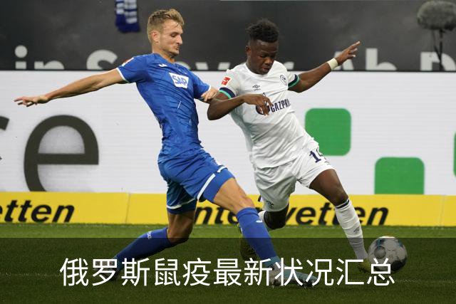 俄罗斯鼠疫最新状况汇总
