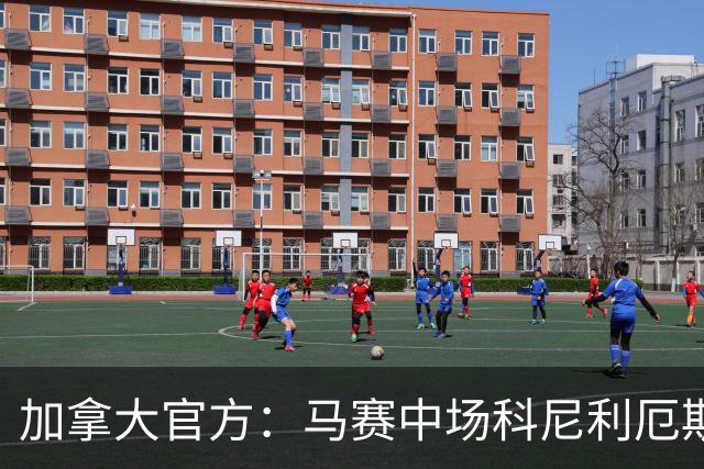 加拿大官方：马赛中场科尼利厄斯在训练中受伤，已被送往医院