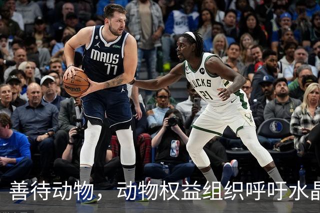 善待动物，动物权益组织呼吁水晶宫弃用活体吉祥物白头海雕凤凰