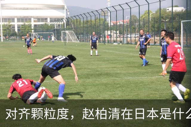 对齐颗粒度，赵柏清在日本是什么水平？