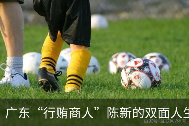 广东“行贿商人”陈新的双面人生：借钱搞地产，送钱给官员
