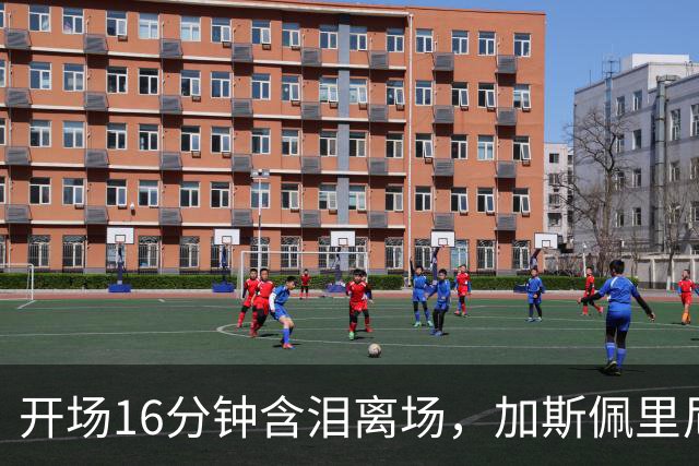 开场16分钟含泪离场，加斯佩里尼赛后只说了两个字：疑似