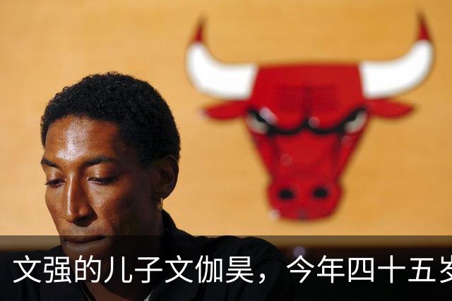 文强的儿子文伽昊，今年四十五岁了，定居在重庆，早已撕掉了