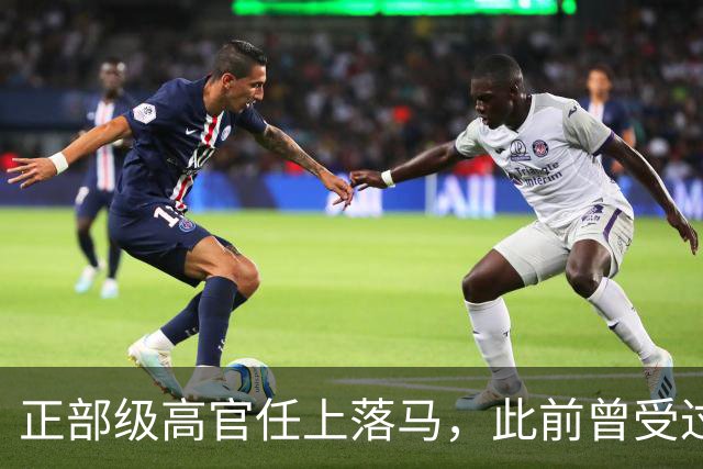 正部级高官任上落马，此前曾受过党内处分