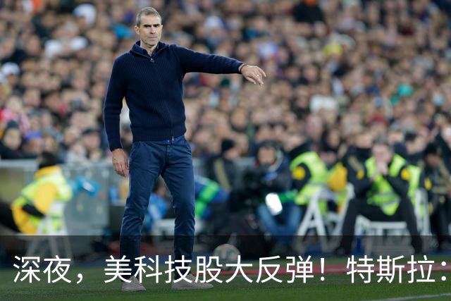 深夜，美科技股大反弹！特斯拉：马斯克去年实际薪酬为“0”！