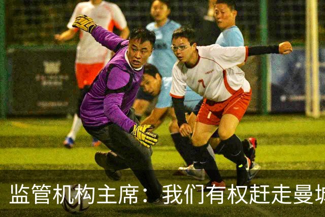 监管机构主席：我们有权赶走曼城老板曼苏尔