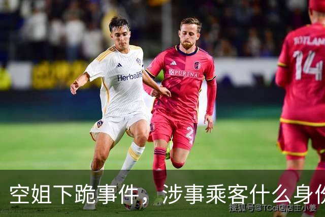 空姐下跪事件，涉事乘客什么身份？