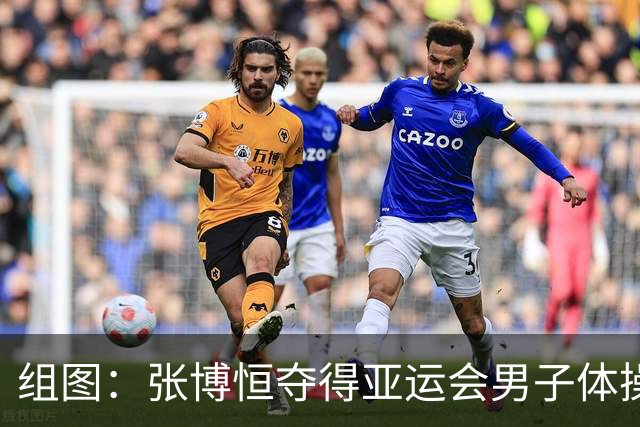 组图：张博恒夺得亚运会男子体操个人全能金牌