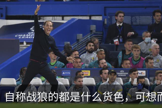 自称战狼的都是什么货色，可想而知