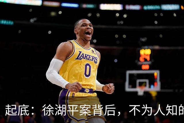 起底：徐湖平案背后，不为人知的行业“黑活”