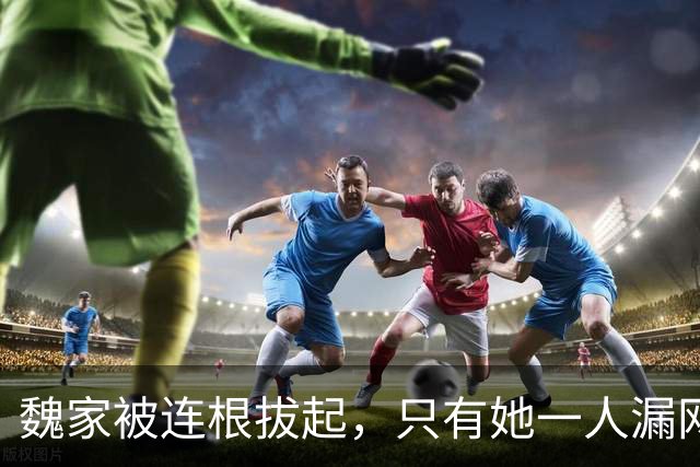 魏家被连根拔起，只有她一人漏网，缅北“第一美人”魏榕藏身何地