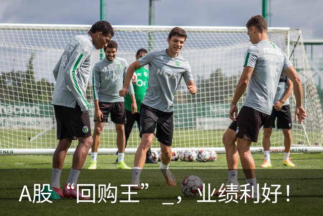 A股“回购王” ，业绩利好！